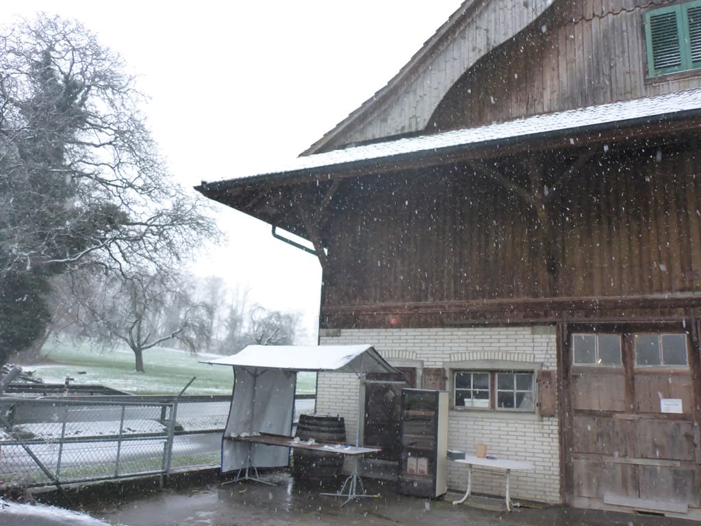 Ausrichten Stalldach 